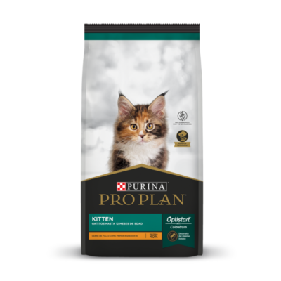 Pro Plan Kitten