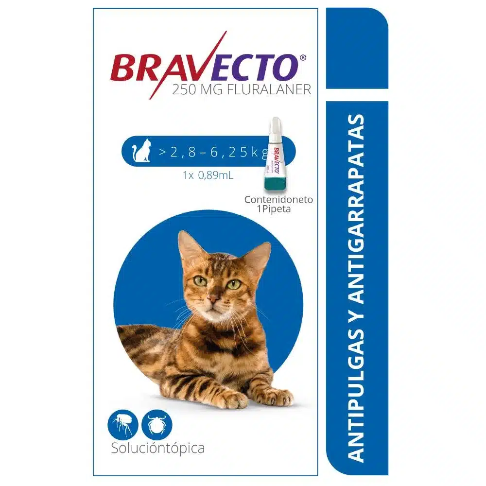 Bravecto Pipeta Antipulgas Gato 2.8 - 6.25 KG