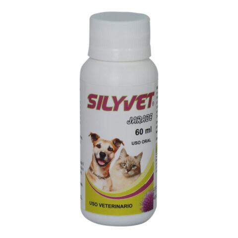 Sylium Jarabe X 60 ML