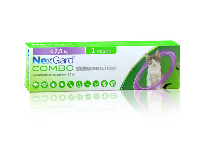 Nexgard COMBO CAT
