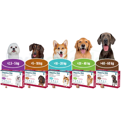 Simparica TRIO