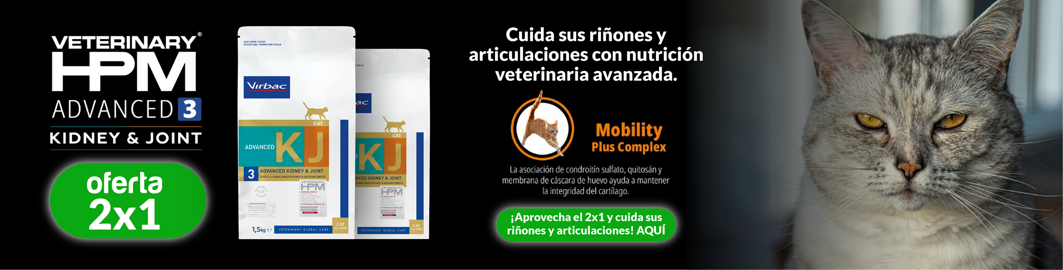 Oferta NexGard COMBO Cat / Churu de Atún